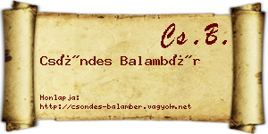 Csöndes Balambér névjegykártya